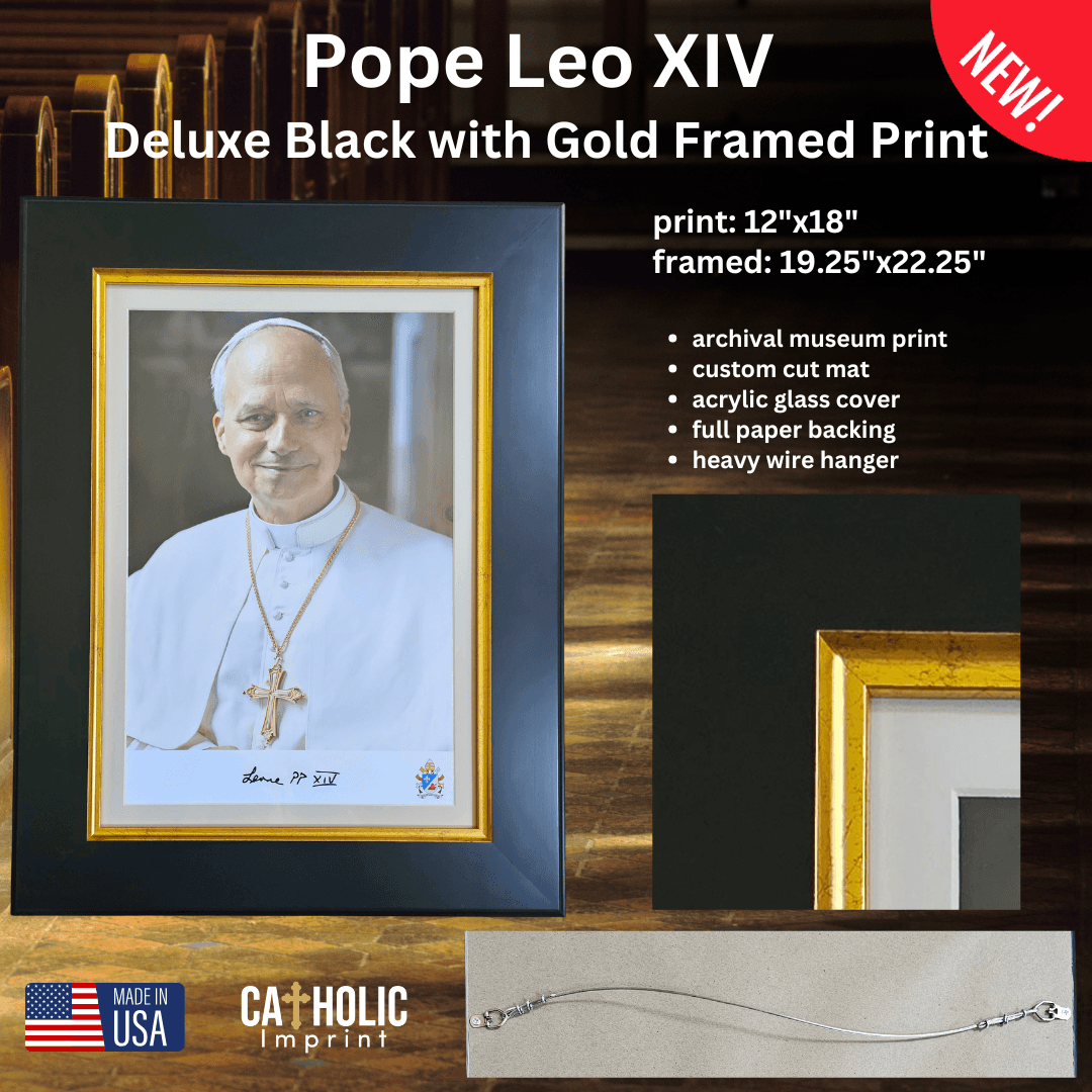Pope Leo XIV Framed Print