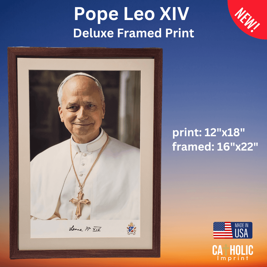 Pope Leo XIV Framed Print