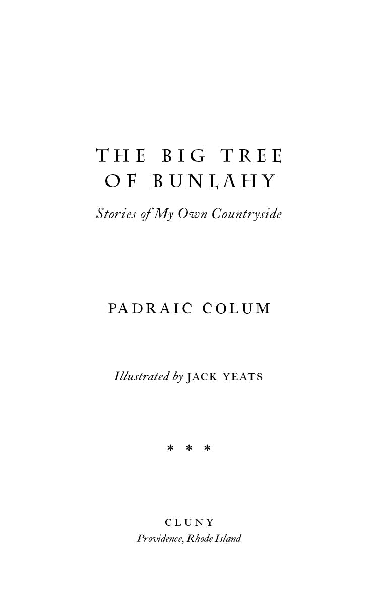 The Big Tree of Bunlahy