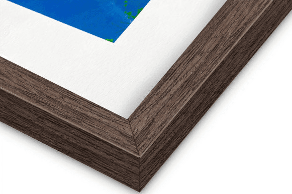 Pope Leo XIV Framed Print