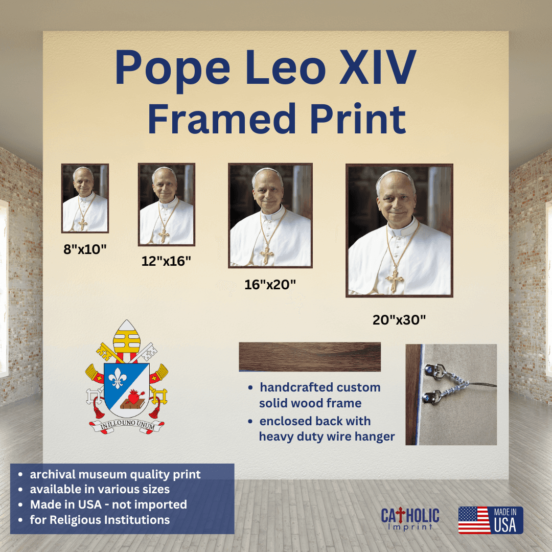 Pope Leo XIV Framed Print