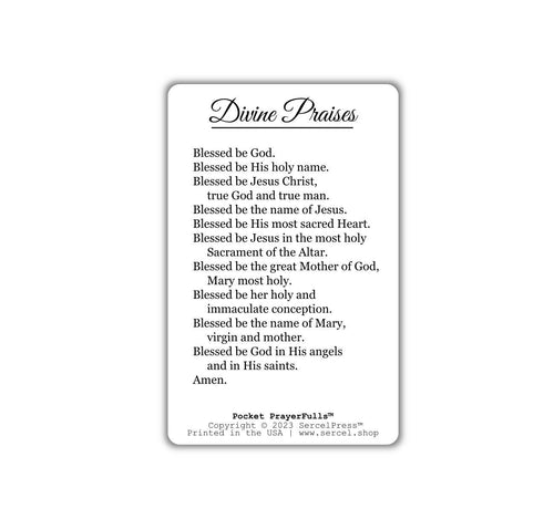 Divine Praises: Pocket PrayerFulls™ | Durable Wallet Prayer Cards | Catholic Prayer
