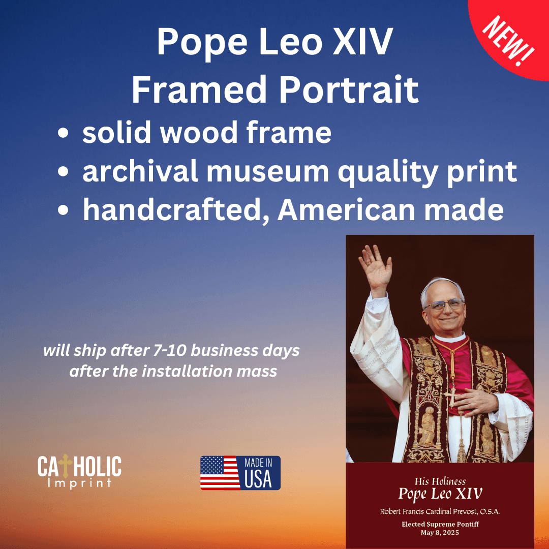 Pope Leo XIV Framed Print