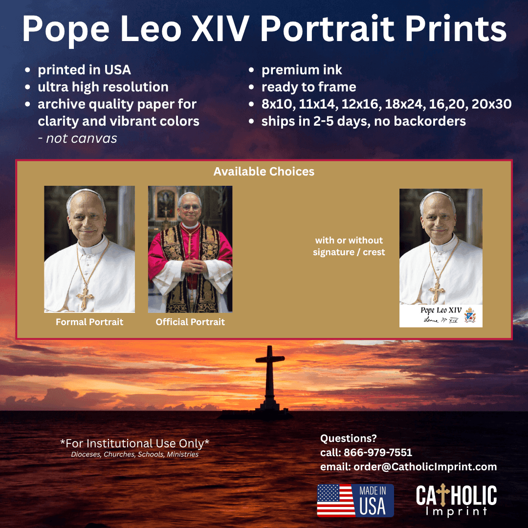 Pope Leo XIV Portrait Print