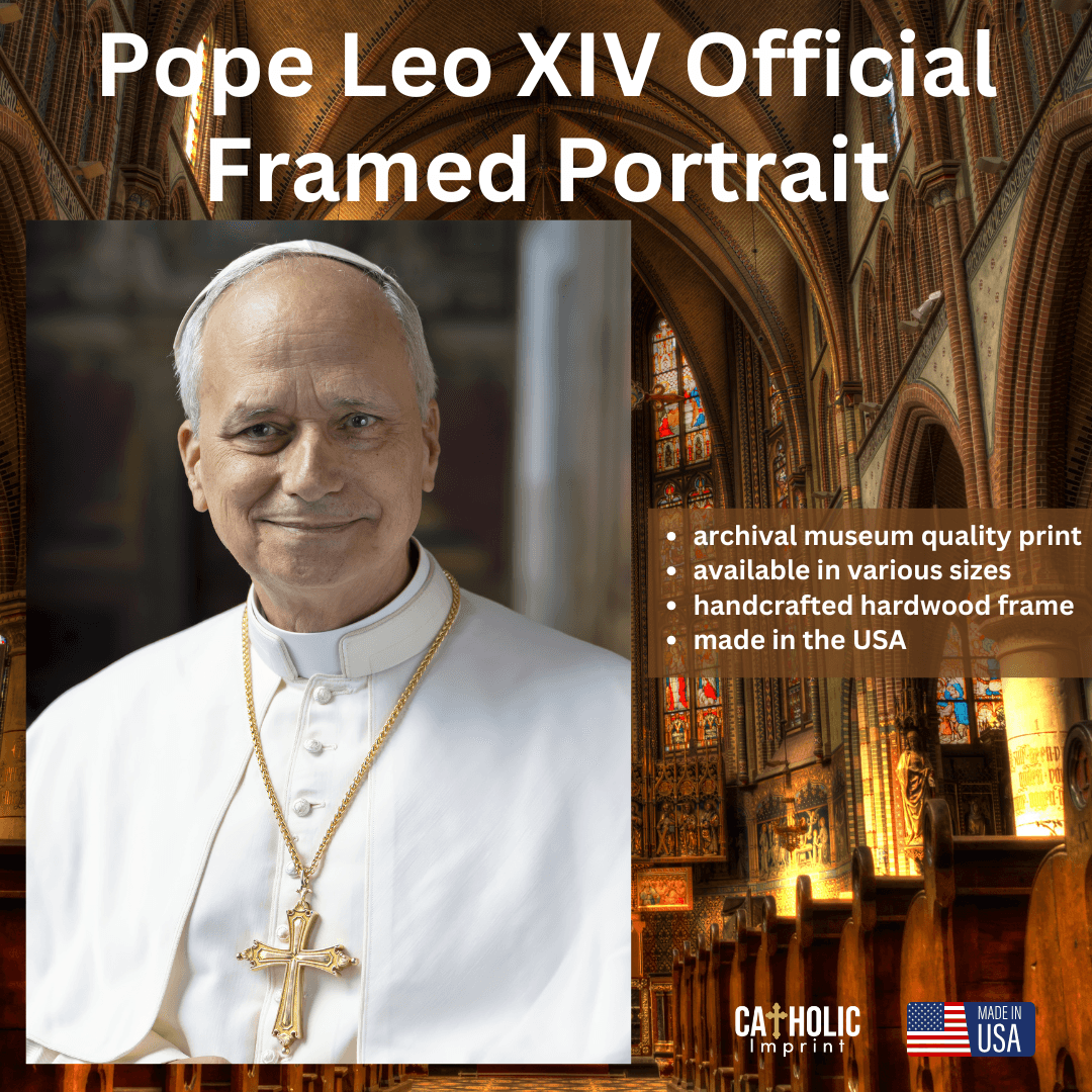 Pope Leo XIV Framed Print